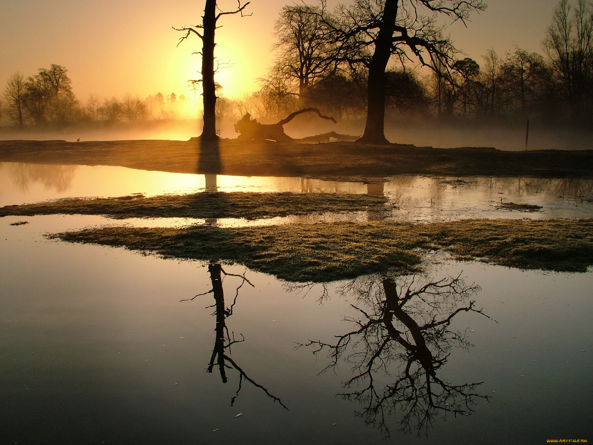 reflection, of, trees, in, lake, , , , , , 